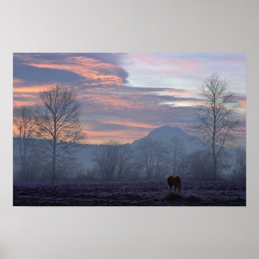 Eenvoudige paarse grazing poster (Voorkant)