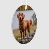 Eenvoudige persoonlijke foto 2 Sympathie Pet Memor Ornament (voorkant)