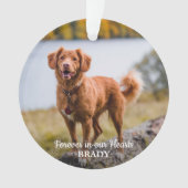 Eenvoudige persoonlijke foto 2 Sympathie Pet Memor Ornament (voorkant)