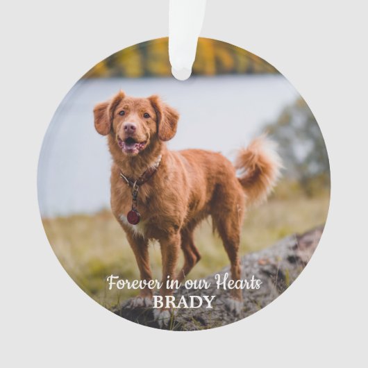 Eenvoudige persoonlijke foto 2 Sympathie Pet Memor Ornament (voorkant)