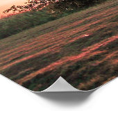 Eenvoudige peulboom poster (Hoek)