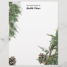 Eenvoudige pine-kegel en pine-leder tijdens de win