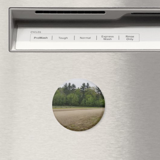 Eenvoudige plaatsen magneet (Insitu (Vaatwasser))