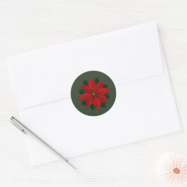 Eenvoudige Poinsettia op Groen Ronde Sticker