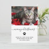 Eenvoudige Prettige feestdagen van de kat | Foto Feestdagenkaart (Staand voorkant)