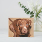 Eenvoudige puppy briefkaart (Staand voorkant)