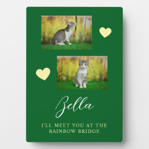 Eenvoudige Regenboogbrug Kat Herdenking Fotoplaat