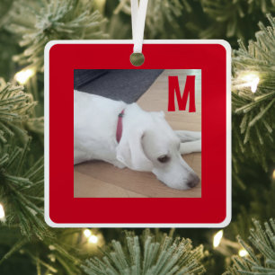 Eenvoudige rode en witte foto van Dog Custom Initi Metalen Ornament