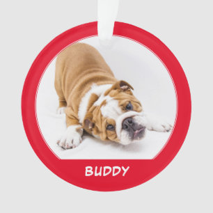Eenvoudige Rode Hond Eigen Foto Naam Kerst Geschen Ornament