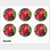 Eenvoudige rode rozen ronde sticker (Vel)