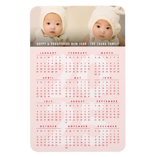 Eenvoudige Roze 2025 Kalender Minimalistische Vaka Magneet (Verticaal)