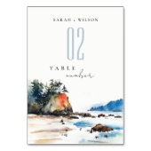 Eenvoudige Ruby Beach Olympic National Park bruilo Kaart (Achterkant)