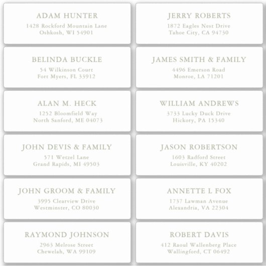 Eenvoudige Sage Green gast adresetiketten sticker (Voorkant)