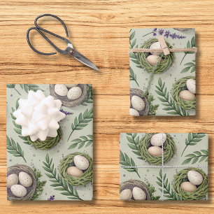 Eenvoudige Saliegroene Paaseieren Lavendel Nest Inpakpapier Vel
