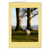 Eenvoudige schapenkaart (Voorkant)