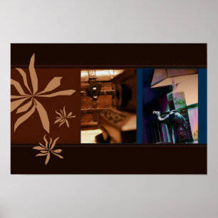 Eenvoudige Schatten Poster
