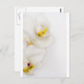 Eenvoudige schoonheid briefkaart (Voorkant / Achterkant)