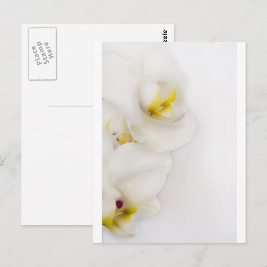 Eenvoudige schoonheid briefkaart (Voorkant / Achterkant)