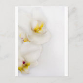 Eenvoudige schoonheid briefkaart (Voorkant)