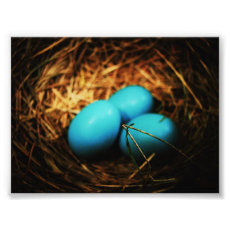 Eenvoudige schoonheid foto afdruk