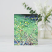 Eenvoudige schoonheid van Jersey Fawn Briefkaart (Staand voorkant)