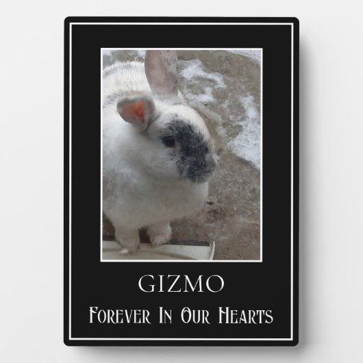 Eenvoudige Single Photo Pet Rabbit Memorial Fotoplaat (voorkant)