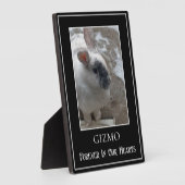 Eenvoudige Single Photo Pet Rabbit Memorial Fotoplaat (Zijkant)