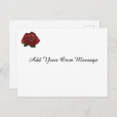 Eenvoudige Single Red Rose Custom Message Briefkaa Briefkaart (Voorkant / Achterkant)