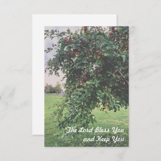 Eenvoudige structuur Dank je kaarten (Voorkant / Achterkant)