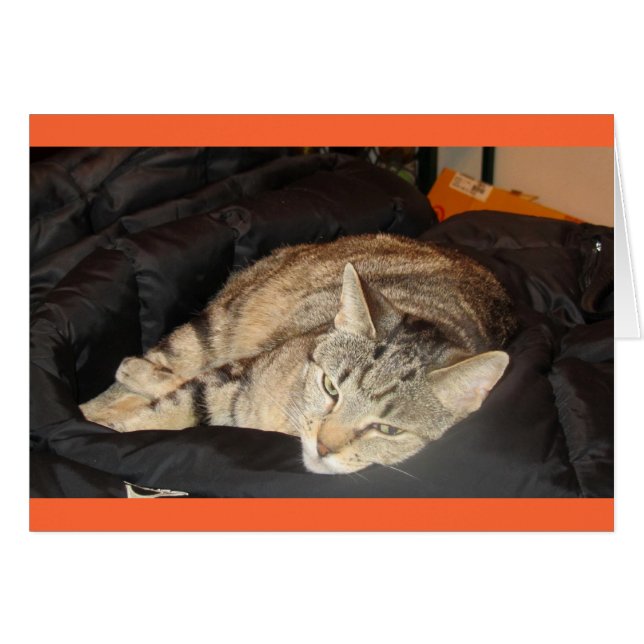 Eenvoudige tijd voor Indigo (Voorkant Horizontaal)