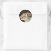 Eenvoudige tijd voor Indigo Ronde Sticker (Tas)