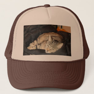 Eenvoudige tijd voor Indigo Trucker Pet