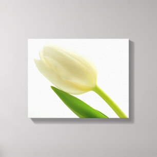 Eenvoudige tulp canvas afdruk