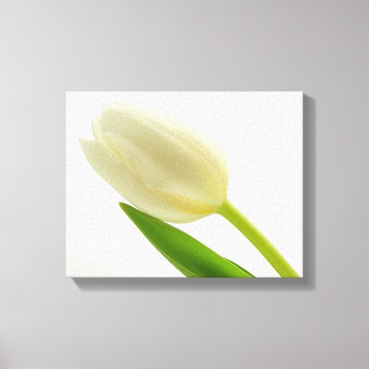 Eenvoudige tulp canvas afdruk (Voorkant)
