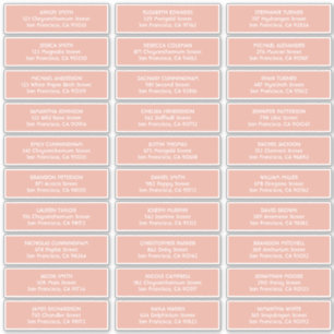 Eenvoudige Typografie Bruiloft Gast Namen Adres Sticker