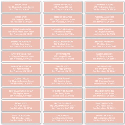 Eenvoudige Typografie Bruiloft Gast Namen Adres Sticker (Voorkant)