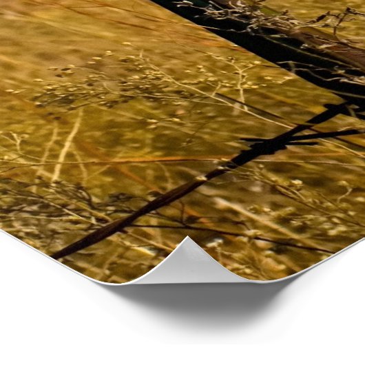 Eenvoudige velden poster (Hoek)