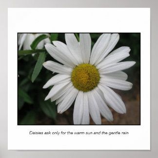 Eenvoudige verzoeken poster