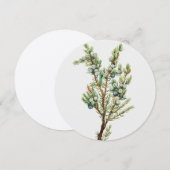 Eenvoudige Vintage Botanische Bergjeneverbes Kaart (Voorkant / Achterkant)