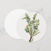 Eenvoudige Vintage Botanische Bergjeneverbes Kaart (Voorkant / Achterkant)