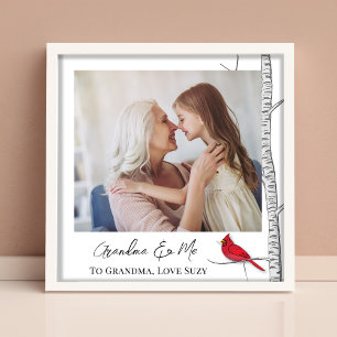 Eenvoudige Waterverf Winter Rode Kardinaal Berkenb Foto Afdruk