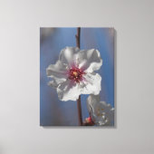 Eenvoudige White Spring Almond Tree Elegant Canvas Afdruk (Voorkant)