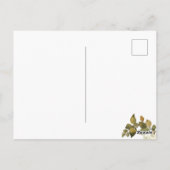 Eenvoudige Witte Bloem en Blad Briefkaart (Achterkant)