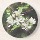 Eenvoudige Witte Bloem Waterverf Zandsteen Onderzetter (Voorkant)