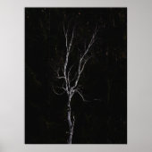 Eenvoudige witte boom poster (Voorkant)
