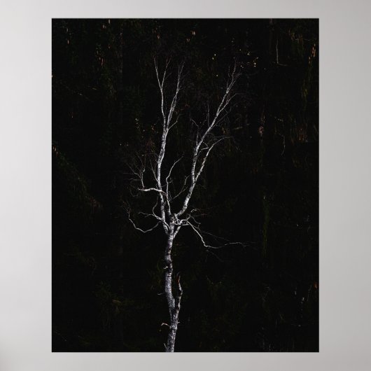 Eenvoudige witte boom poster (Voorkant)
