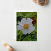 Eenvoudige witte pioenenbloem notitiekaartje (Voorkant / Achterkant in situ)