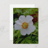 Eenvoudige witte pioenenbloem notitiekaartje (Voorkant / Achterkant)