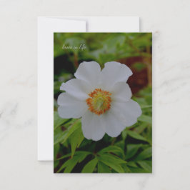 Eenvoudige witte pioenenbloem notitiekaartje