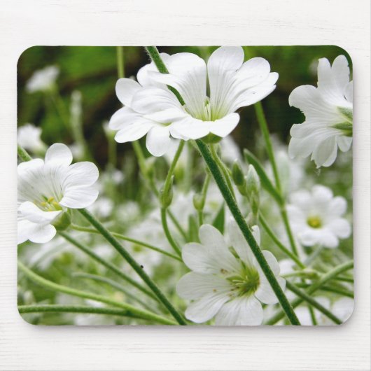 Eenvoudige witte wilde bloemen muismat (Voorkant)